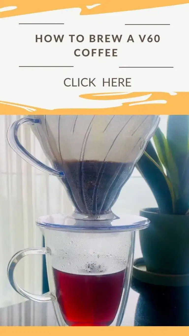 /images/makeCoffee/v60coffee.webp